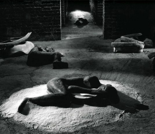 La Grande Brera come hub culturale: un anno di mostre dal Rinascimento ai ledwall