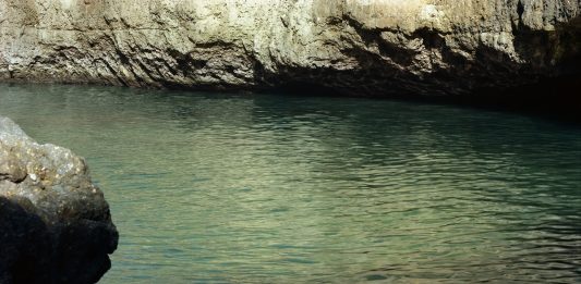 Focus curatori in 22 domande: intervista a Sofia Baldi Pighi