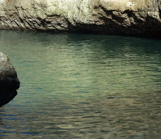 Focus curatori in 22 domande: intervista a Sofia Baldi Pighi