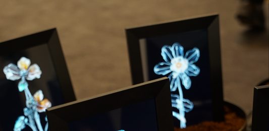 Un fiore digitale per l’inclusione: la serra di Mandelli e Baldocchi alla Cosmoscow Mandelli Baldocchi Cosmoscow