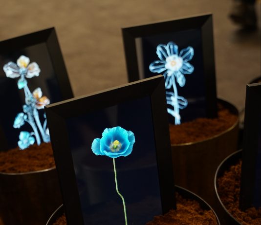 Un fiore digitale per l’inclusione: la serra di Mandelli e Baldocchi alla Cosmoscow Mandelli Baldocchi Cosmoscow