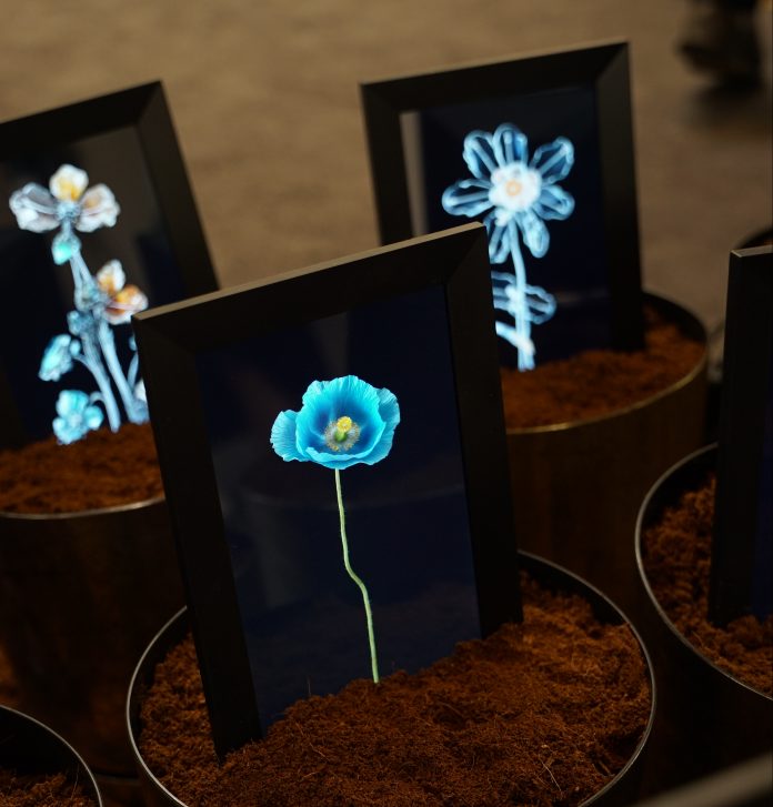 Mandelli Baldocchi Cosmoscow