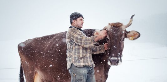 Fragili, e per questo delicati e luminosi: a Verona l’ottava edizione del Festival Grenze-Arsenali Fotografici