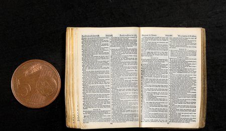 Mercanteinfiera 2025 l’irrinunciabile appuntamento con il design d’autore, l’antiquariato e il collezionismo vintage, torna dall’11 al 19 ottobre alle Fiere di Parma