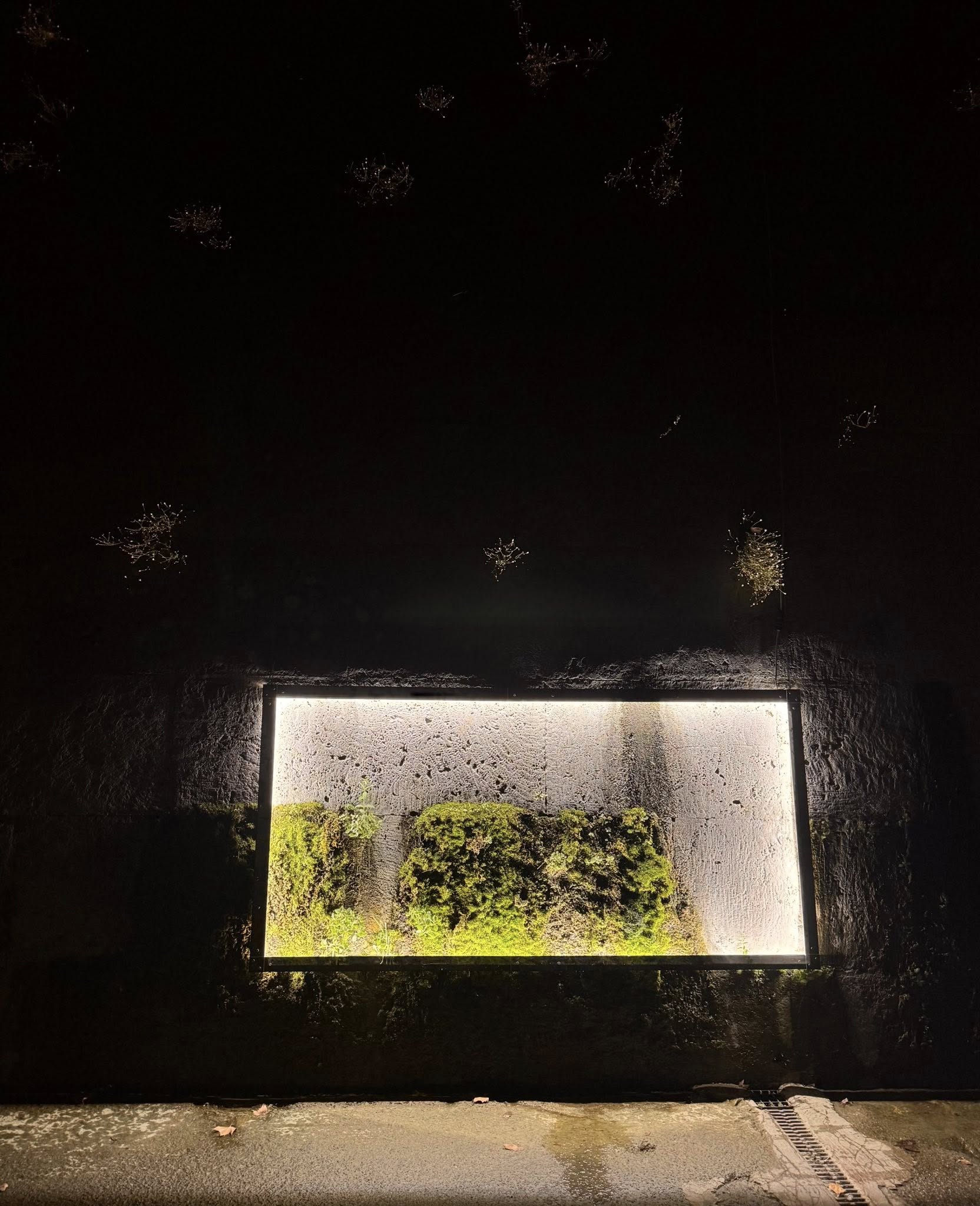 Mario Carlo Iusi. Luminis, veduta dell'installazione sul fiume Tevere