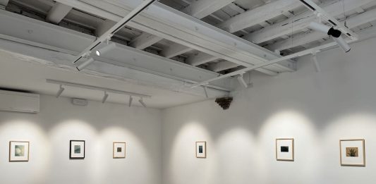 Juliette Wayenberg Grete (Wykofer) dal 26 settembre una grande mostra fotografica alla Galleria Zema di Roma