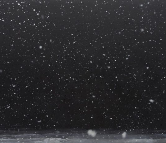 Perdersi nelle notti stellate di Vija Celmins: la mostra alla Fondazione Beyeler di Basilea