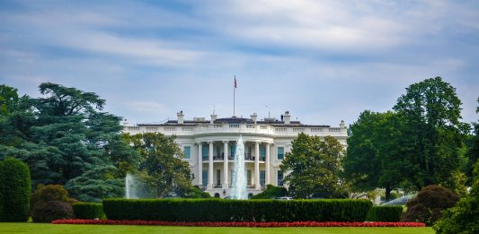 Colonne palladiane e ottagoni da combattimento: un’arena UFC per la Casa Bianca