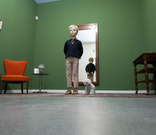 Dagli anni Novanta a oggi: la Fondazione Sandretto rilegge la propria storia con una grande mostra fondazione sandretto