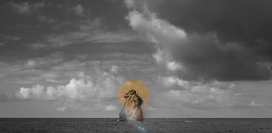 Other Identity #173, altre forme di identità culturali e pubbliche: Michela Taeggi