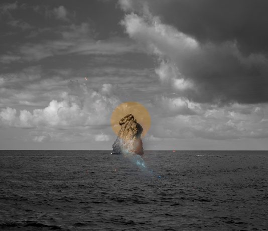 Other Identity #173, altre forme di identità culturali e pubbliche: Michela Taeggi