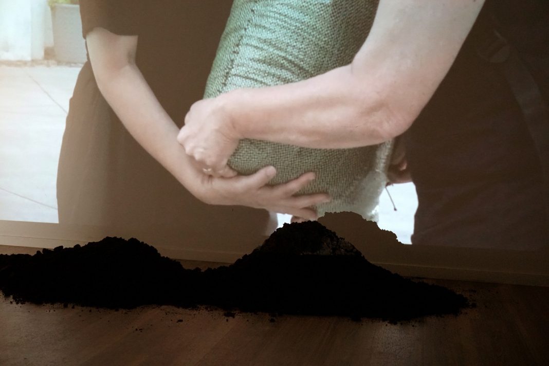 terriccio universale