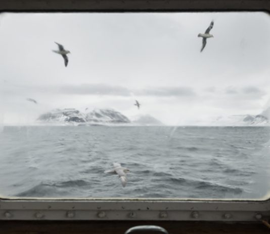 Le mostre da non perdere a ottobre in tutta Italia