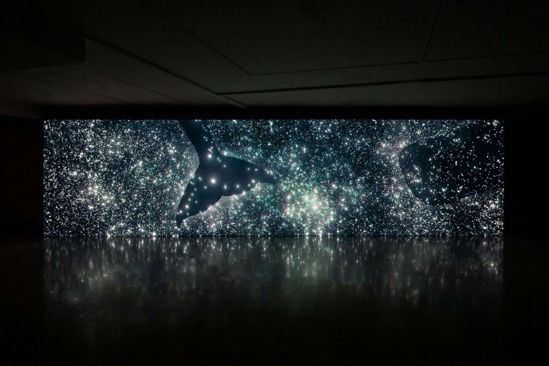 1_OfWhales_MNTB_2023_RR_29-JPG - original size