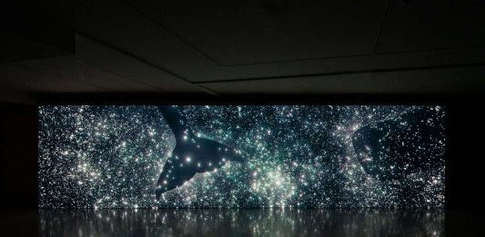 Moby Dick – La Balena Storia di un mito dall’antichità all’arte contemporanea dal 12 ottobre 2025 al 15 febbraio 2026 una grande mostra collettiva a Palazzo Ducale, Genova