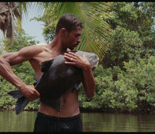 BIENALSUR arriva in Italia: mostre e progetti diffusi tra Milano, Roma, Napoli e Biella