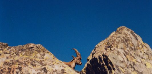 Arc’teryx: dove arte e outdoor lifestyle si intrecciano