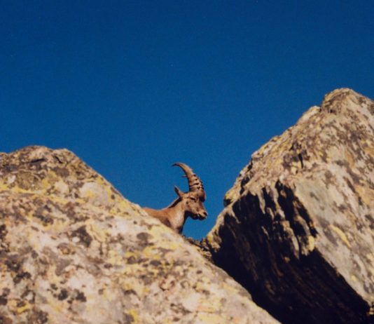 Arc’teryx: dove arte e outdoor lifestyle si intrecciano