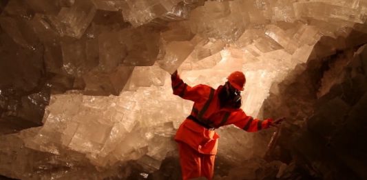 Butterfly a Torino. La rassegna di video arte continua da Flashback