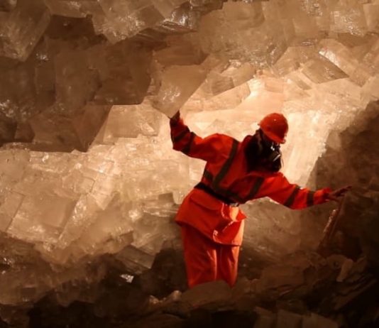 Butterfly a Torino. La rassegna di video arte continua da Flashback