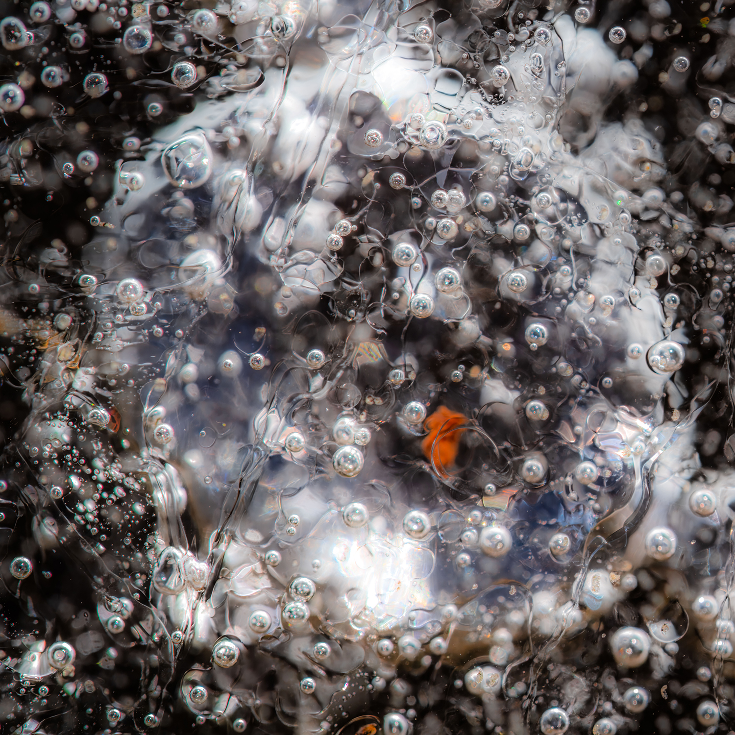 Florence Biennale 2026 artisti