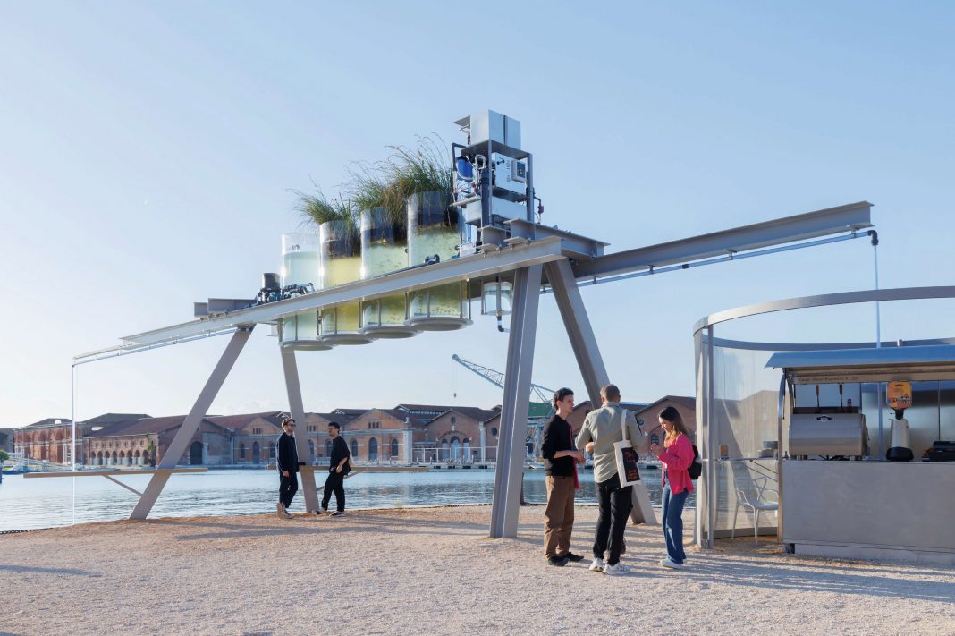 03_Canal Cafe_Photo by Iwan Baan.jpg Canal Café, 19a Mostra Internazionale di Architettura, Biennale di Venezia. Diller Scofidio+ Renfro, Natural Systems Utilities, SODAI, Aaron Betsky, Davide Oldani. Courtesy Diller Scofidio + Renfro studio