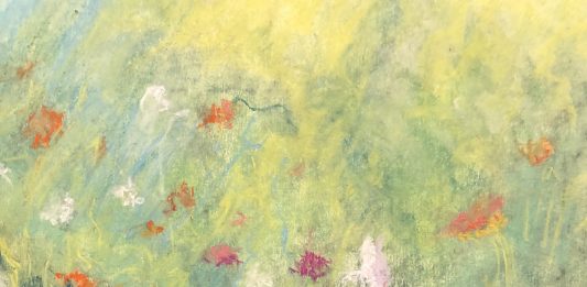 Quattro sguardi al femminile sulla natura, alla Galleria Malinpensa