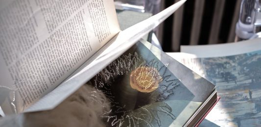 Coltivazioni Erbacee, la mostra personale di Stefano Arienti dal 19 ottobre al 14 dicembre negli spazi storici di Palazzo Marchi, Parma