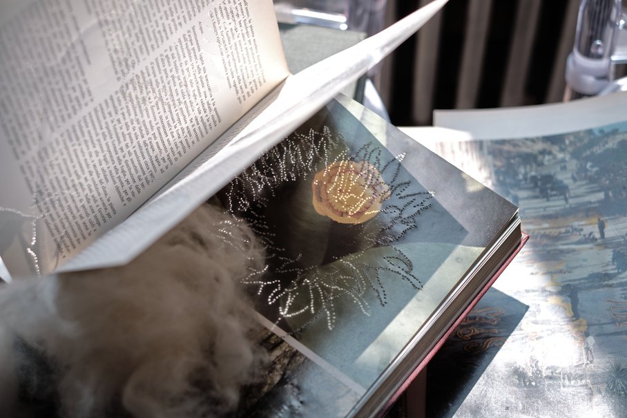 Det1.-Eniclopedia (dettaglio)_Palazzo Marchi_2025