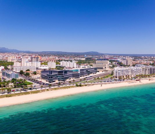 Art Cologne scommette ancora su Maiorca. Nel 2026 la nuova fiera a Palma