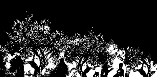 Esiste una Biennale di Gaza, ma non è in Palestina