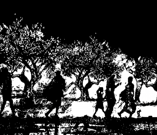 Esiste una Biennale di Gaza, ma non è in Palestina