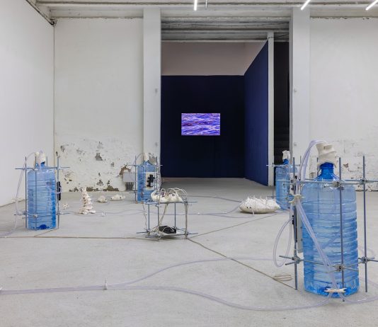 “Fare acqua da tutte le parti”: la nuova mostra di Galleria Michela Rizzo