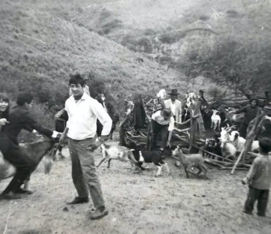 In Nuestra Tierra, Lucrecia Martel racconta le radici ferite dell’America Latina