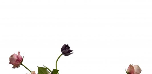 Il tempo del design e il ritmo della vita, secondo Kris Van Assche