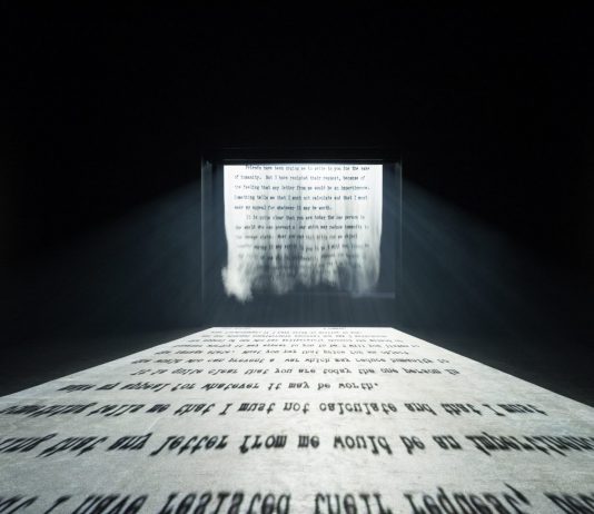 Alla prossima Biennale d’Arte di Venezia ci sarà anche il Padiglione India