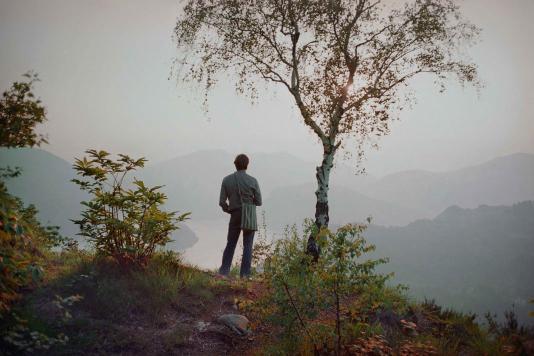 weiss david weiss masi