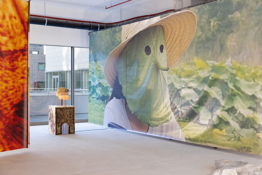 04.Brucia brucia brucia_BiM