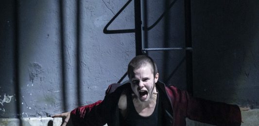 In Scena: gli spettacoli e i festival della settimana, dal 17 al 23 novembre