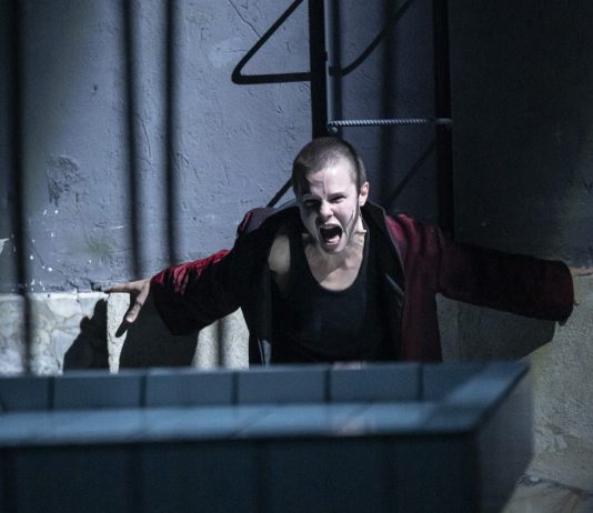 In Scena: gli spettacoli e i festival della settimana, dal 17 al 23 novembre