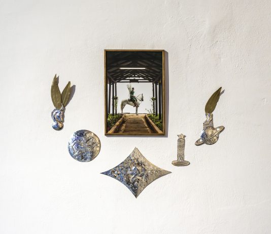 Nella sue opere, Patricia Dominguez dà forma a un universo postumano