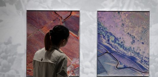 Exposed Torino Foto Festival 2026: l’organizzazione affidata a Camera