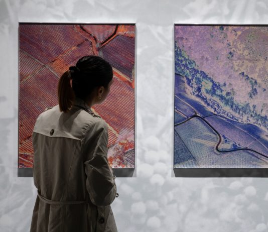 Exposed Torino Foto Festival 2026: l’organizzazione affidata a Camera