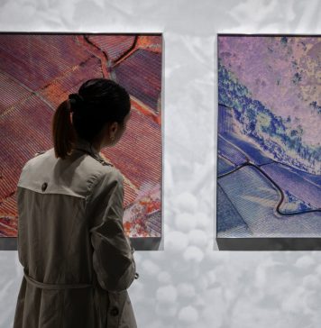 Exposed Torino Foto Festival 2026: l’organizzazione affidata a Camera