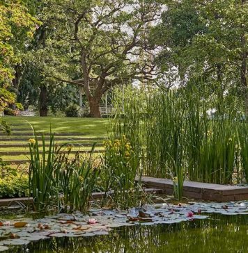 Arte e natura alla Fondation Beyeler: nominata la prima curatrice botanica