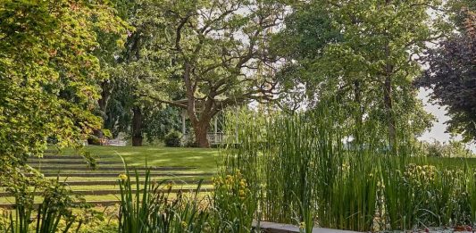 Arte e natura alla Fondation Beyeler: nominata la prima curatrice botanica Rahel Kesselring