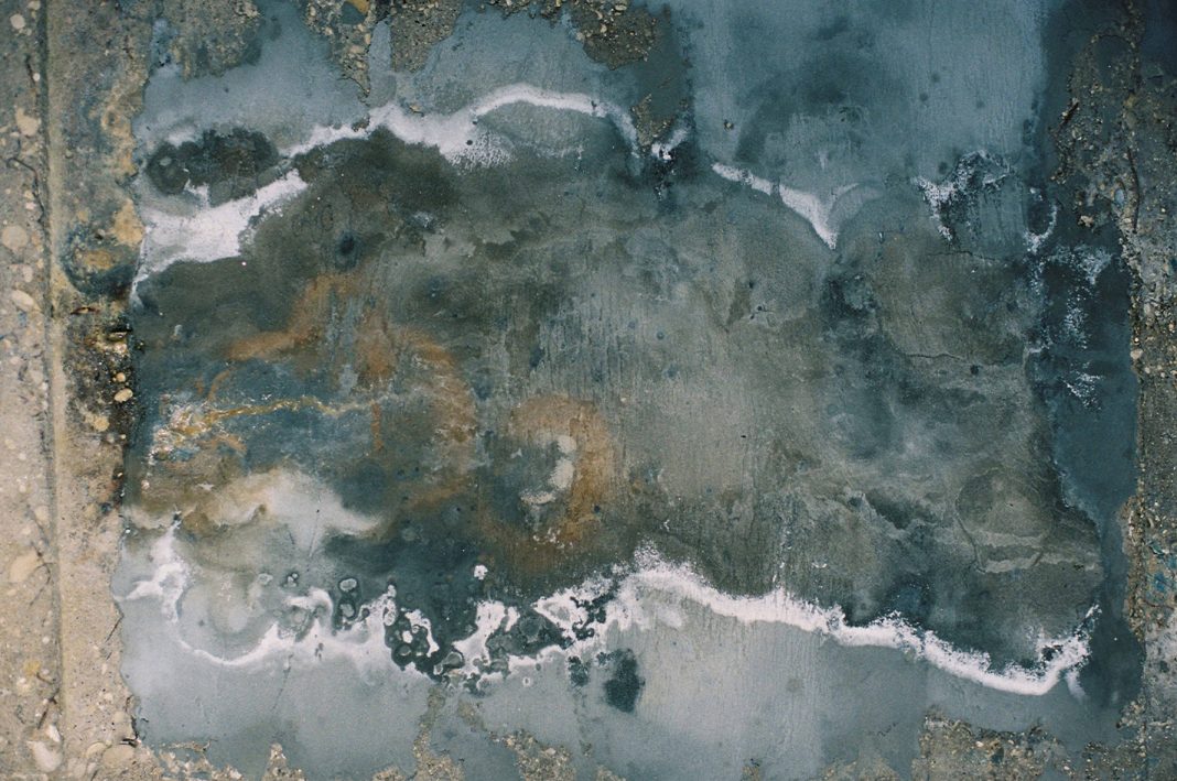 Fotografia di Marta Scagliusi