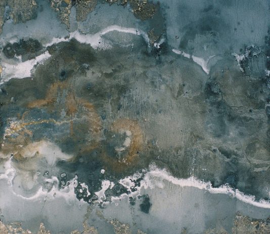 Il paesaggio come rivelazione: due giovani artisti in mostra da Spazio Iris