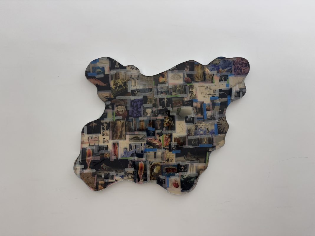 IMG_5452 Agnes Questionmark, Chimera Mostruosa, veduta della mostra. Credit: Pietro Costa, WHITESPACE Projects / Napoli, 2025