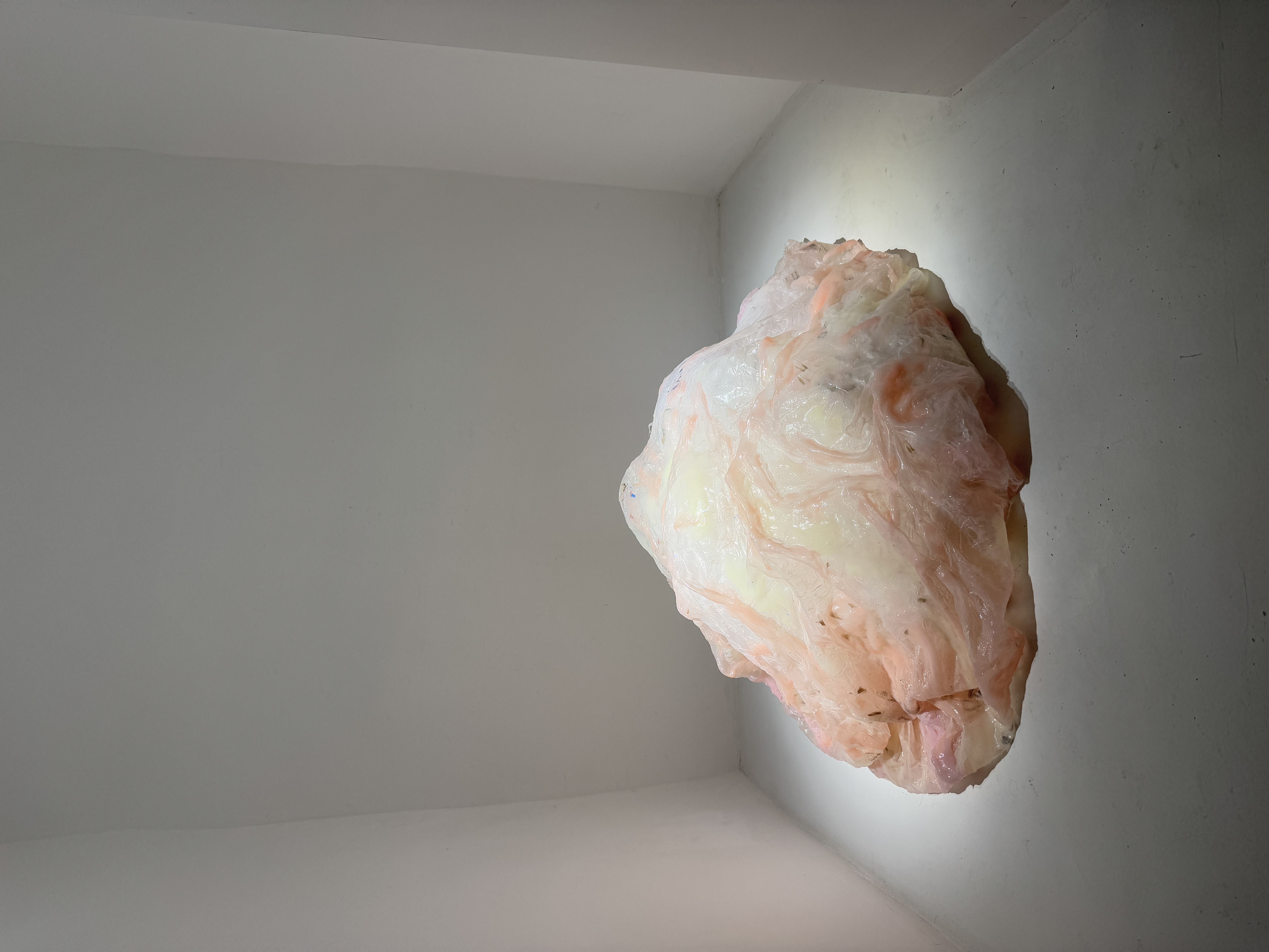 Agnes Questionmark, Chimera Mostruosa, veduta della mostra. Credit: Pietro Costa, WHITESPACE Projects / Napoli, 2025